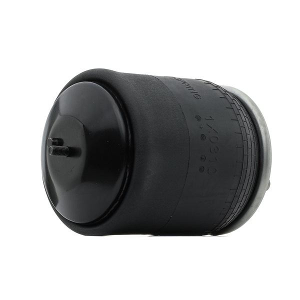 OEM 21224745 RIDEX Ilmajousi 4119A0079 varten VOLVO