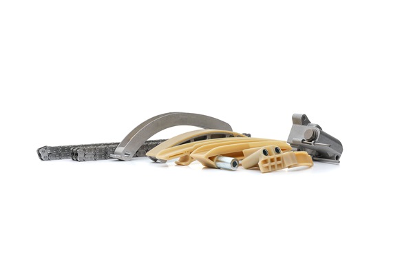 OEM 13522246808 RIDEX Jakoketjusarja 1389T2528 varten BMW