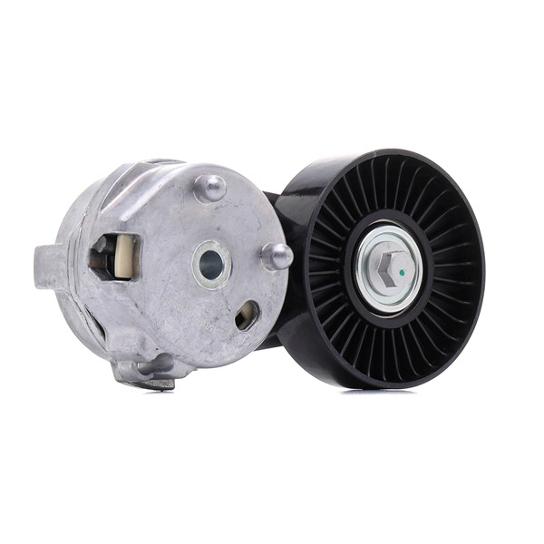 Spanrol, poly V-riem (310T0410) van RIDEX Voor LAND ROVER Range Rover Sport (L320) 3.0 D 4x4 (180 KW / 245 PK / Van 2009)