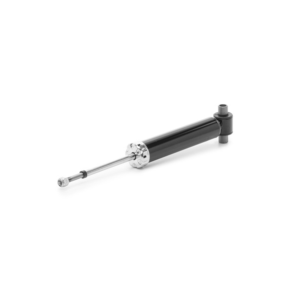 OEM 251413031L RIDEX Iskunvaimennin 854S17955 varten VW, AUDI, SKODA, SEAT