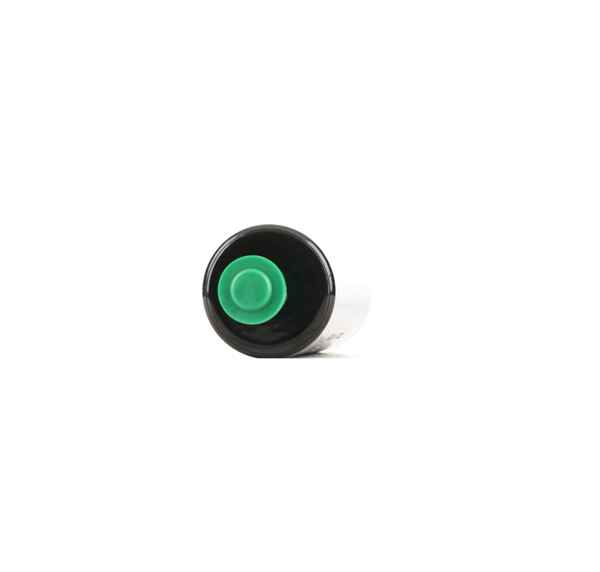 Polttoainepumppu 458F13811 alkaen RIDEX