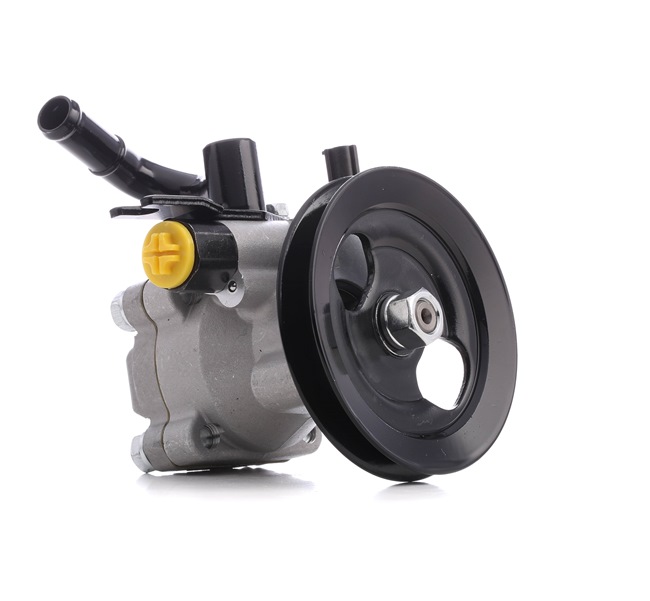SOUL Power steering pump 12H0284 RIDEX