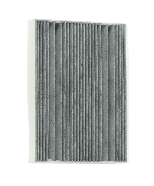 RIDEX Innenraumfilter 424I0649