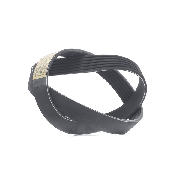 OEM 3473196 RIDEX Moniurahihna 305P0487 varten VOLVO