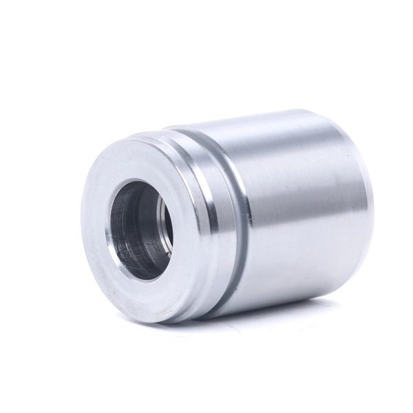 RIDEX Émbolo, pinza del freno (2248P0058) para BMW 3 Compact (E46) 316 ti (85 KW / 115 CV / de 2001)