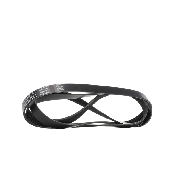 RIDEX Courroie Poly-V (305P0488) pour FORD Transit Mk5 Minibus (V184, V185, FD , FB , FS , FZ , FC) 2.4 TDCi (101 KW / 137 CH / de 2004)