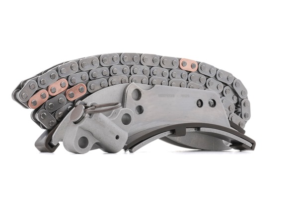 RIDEX Timing chain 1389T2553