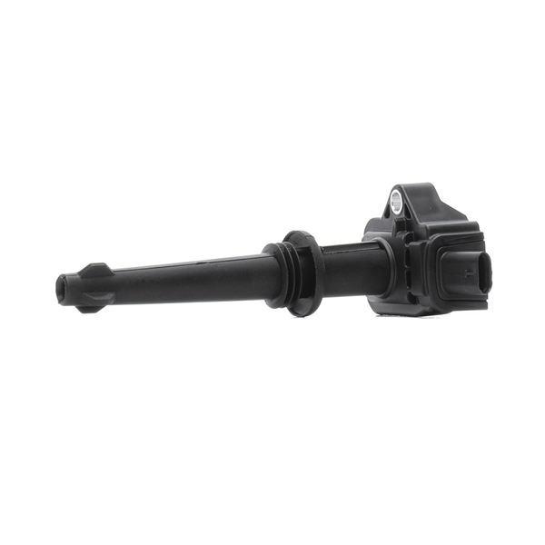 OEM AJ811378 RIDEX Bobina d'accensione 689C0400 per LAND ROVER, JAGUAR