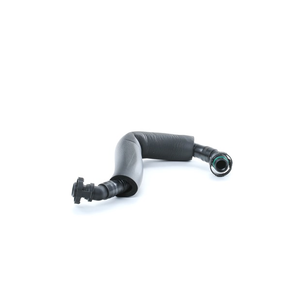 RIDEX Tubo flexible, ventilación bloque motor (1600H16000037) para VW Passat CC (357) 2.0 TFSI (147 KW / 200 CV / de 2008)