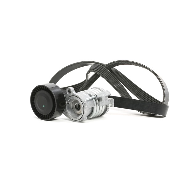 Poly V-riem set (542R0630) van RIDEX Voor VW Fox Hatchback (5Z1, 5Z3, 5Z4) 1.2 (44 KW / 60 PK / Van 2010)