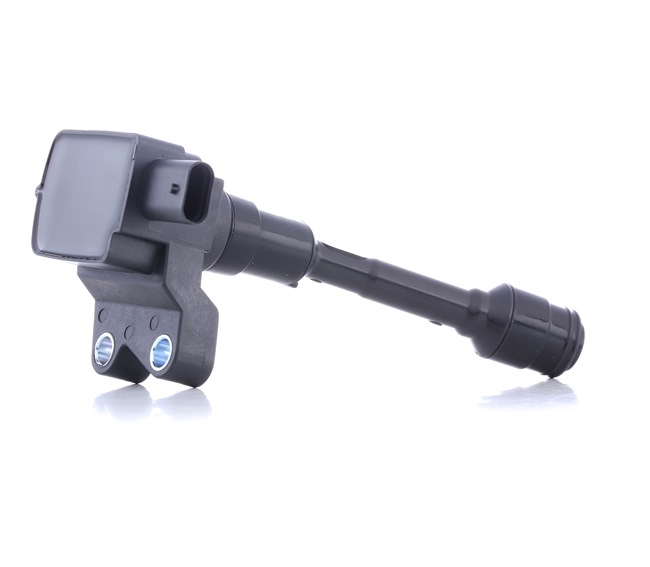 TRANSIT CONNECT Tennspole 689C0403 RIDEX