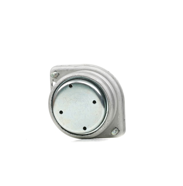 OEM 22111097252 RIDEX Supporto motore 247E0702 per BMW