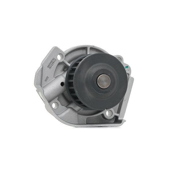 STARK Pompa acqua SKWP-0520481 Pompa acqua STARK SKWP-0520481
