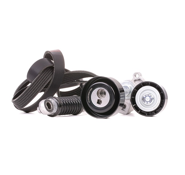 RIDEX Keilrippenriemensatz (542R0639) für FIAT Scudo Kombi (220_) 1.9 TD (68 KW / 92 PS / ab 1996)