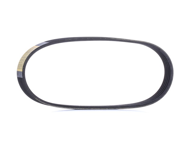 RIDEX Cinghia servizi 305P0498