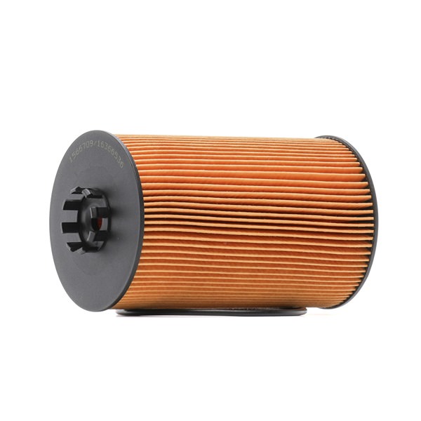 OEM 200V055040122 RIDEX Öljynsuodatin 7O0317 varten