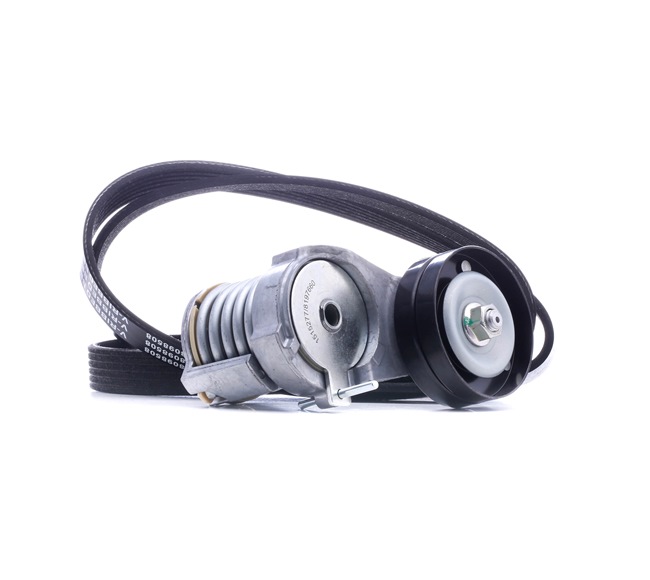 Poly V-riem set (542R0647) van RIDEX Voor VW Bora Sedan (1J2) 1.4 16V (55 KW / 75 PK / Van 2000)