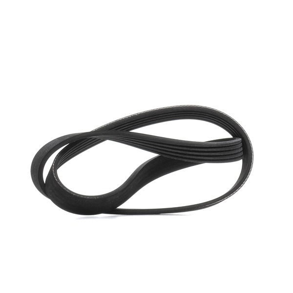 RIDEX Correia trapezoidal estriada (305P0503) para HONDA CIVIC VI Aerodeck (MB, MC) 1.8 16V (MC2) (124 KW / 169 CV / de 1998)