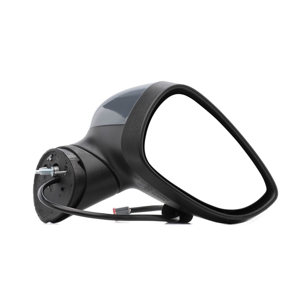 OEM 1748314 RIDEX Wing mirror 50O1174 for FORD, LAND ROVER