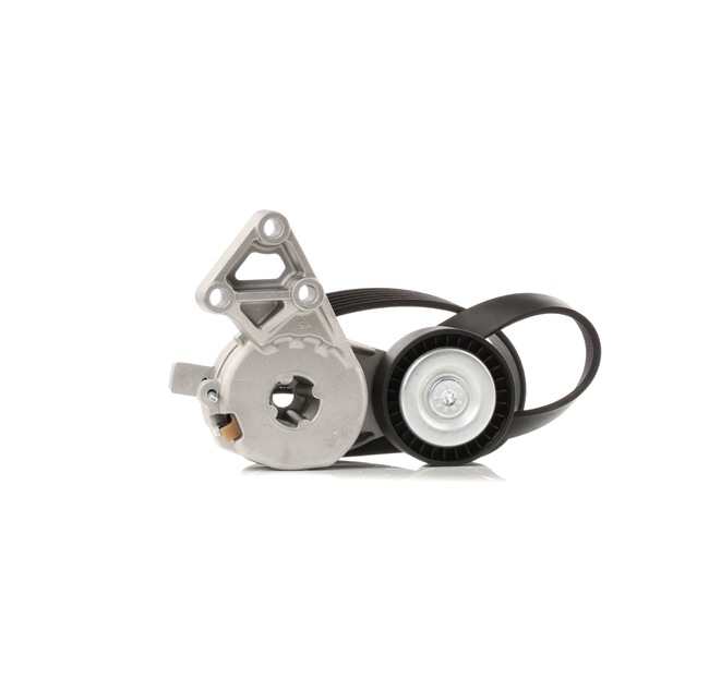 OEM 06A903315E RIDEX  Keilrippenriemensatz 542R0649 für VW, AUDI, SKODA, SEAT, PORSCHE