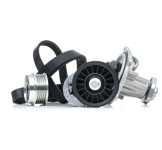 Waterpomp + Multi V-riemset (4172P0068) van RIDEX Voor VW PASSAT Variant (3B5) 1.9 TDI (66 KW / 90 PK / Van 1997)