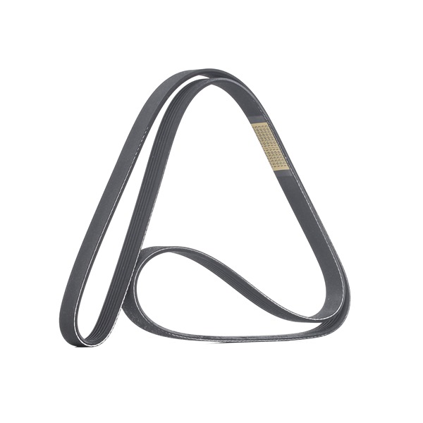 SANTA FE Keilrippenriemen RIDEX 305P0506