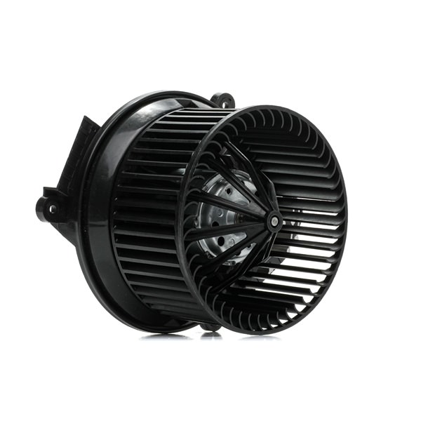 OEM E165141 RIDEX Ventilatore abitacolo 2669I0258 per PEUGEOT, VOLVO
