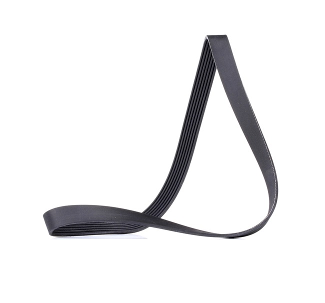 RIDEX Courroie Poly-V (305P0509) pour RENAULT Trafic II Van (FL) 2.5 dCi 145 (FL0J) (107 KW / 146 CH / de 2006)