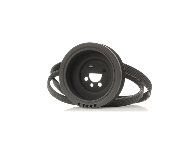 OEM 03G105243C RIDEX Kileremsett 542R0661 for VW, AUDI, FORD, SKODA, SEAT