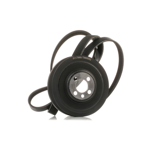 OEM 03G105243 STARK Kileremsett SKRBS-1200661 for VW, AUDI, VOLVO, FORD, MITSUBISHI