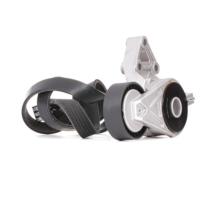 OEM 06A903315E RIDEX  Keilrippenriemensatz 542R0664 für VW, AUDI, SKODA, SEAT, PORSCHE