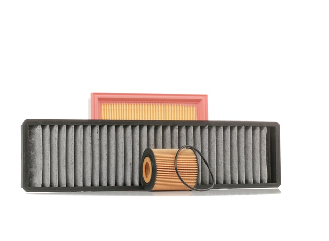 OEM 64319127516 RIDEX  Filterset 4055F0360 für BMW, MINI