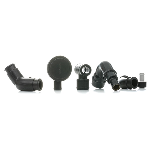 RIDEX Vevhusventilation 3886V0079