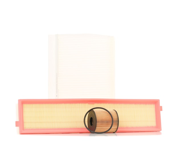 RIDEX Filter kit (4055F0388) for MINI Hatchback (R50, R53) Cooper S (125 KW / 170 HP / from 2004)