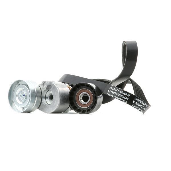 OEM 1175000Q1C RIDEX Kit Cinghie Poly-V 542R0667 per RENAULT, NISSAN
