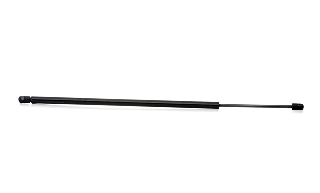 Heckklappendämpfer 219G1007 preiswert von RIDEX