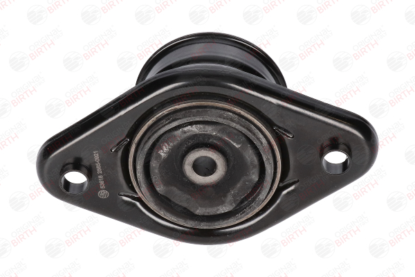 OEM 553302S150 BIRTH Supporto ammortizzatore 53618 per HYUNDAI, KIA
