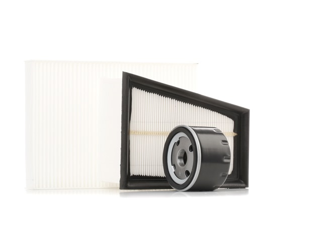 STARK Kit de filtros (SKFS-18880557) para RENAULT CLIO II (BB0/1/2_, CB0/1/2_) 1.6 (BB01, BB1J) (81 KW / 110 CV / de 2004)