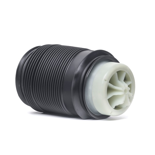 OEM 2123202125 RIDEX Ilmajousi 4119A0088 varten MERCEDES-BENZ