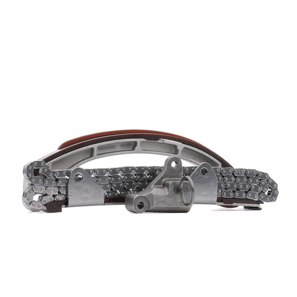 OEM 1359123020 RIDEX Jakoketjusarja 1389T2621 varten TOYOTA, LAND ROVER, LEXUS, DAIHATSU, WIESMANN