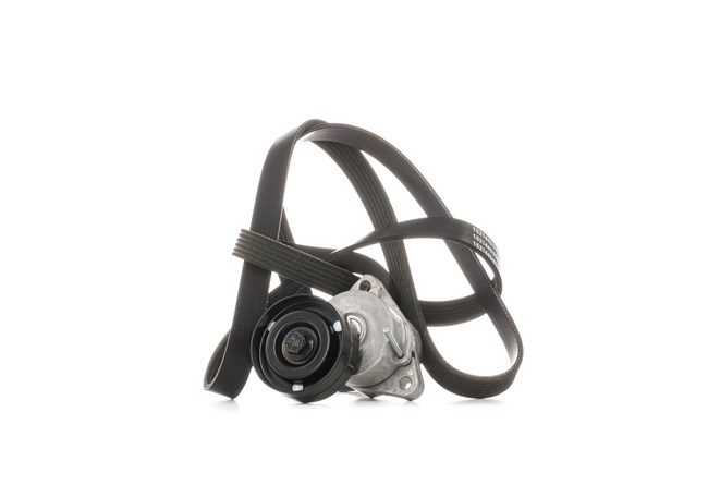 Poly V-riem set (542R0671) van RIDEX Voor DAEWOO Magnus Sedan 2.0 (96 KW / 131 PK / Van 1999)