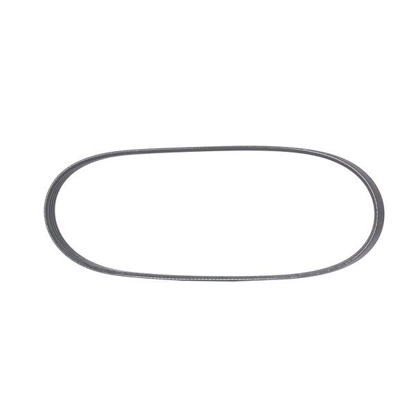 RIDEX Correia trapezoidal estriada (305P0533) para HONDA CIVIC VI Aerodeck (MB, MC) 1.4 16V (MB8) (55 KW / 75 CV / de 1998)