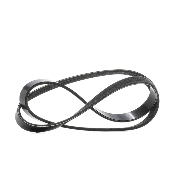 Multiriem (305P0535) van RIDEX Voor RENAULT CLIO II (BB0/1/2_, CB0/1/2_) 1.4 (B/CB0C, B/CB0S) (55 KW / 75 PK / Van 1998)