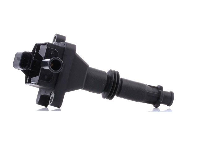 156 Bobina d'accensione 689C0416 RIDEX