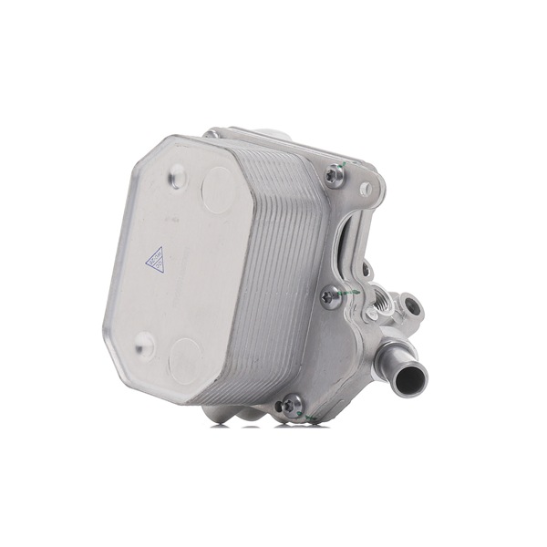 RIDEX Radiatore olio motore (469O0118) per FORD TRANSIT TOURNEO 2.2 TDCi (96 KW / 131 CV / dal 2006)