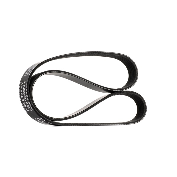 OEM 06J260849D STARK Courroie Poly-V SKPB-0090396 pour VOLKSWAGEN, CITROЁN, AUDI, FIAT, NISSAN