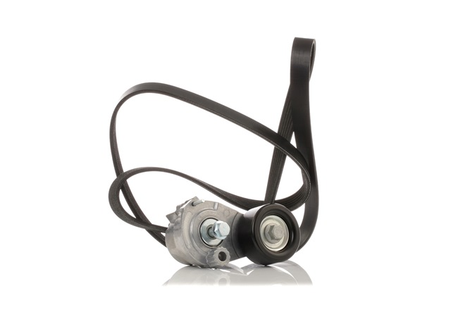OEM 25189926 RIDEX Juego de correas trapeciales poli V 542R0682 para OPEL, FIAT, SKODA, CHEVROLET, ALFA ROMEO
