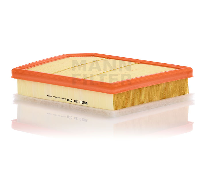 MANN-FILTER Filtro de ar C 29 030