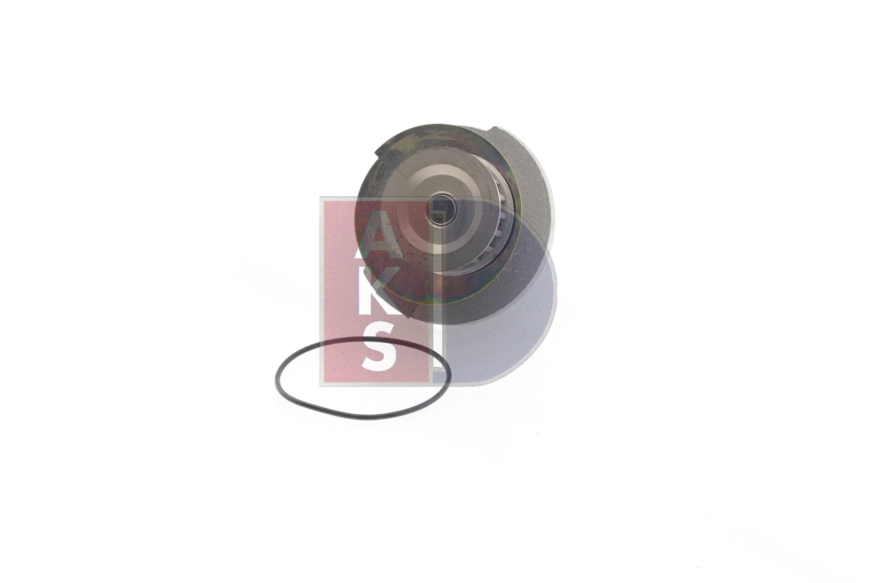AKS DASIS Pompe à eau 570480N Pompe à eau AKS DASIS 570480N