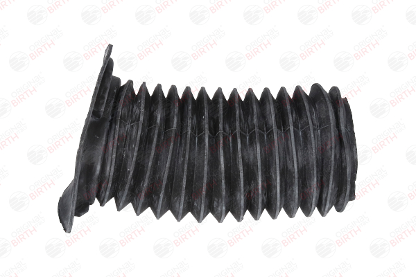 BIRTH Capa de protecção / fole, amortecedor (54294) para MITSUBISHI PAJERO IV (V8_W, V9_W) 3.2 DI-D 4WD (V98W, V88W) (140 KW / 190 CV / de 2007)